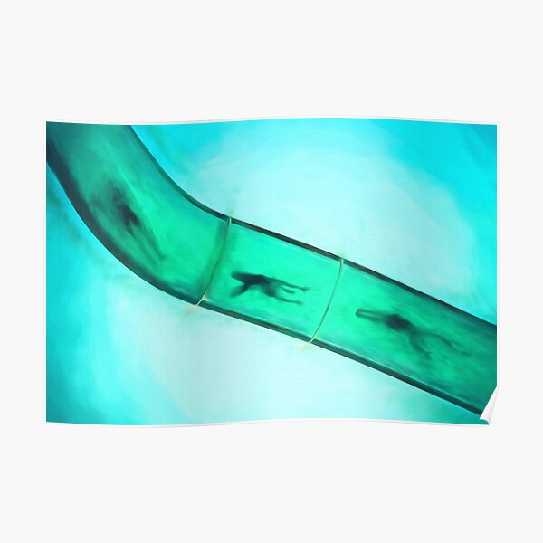 Sliding Into Summer (digital painting) Poster