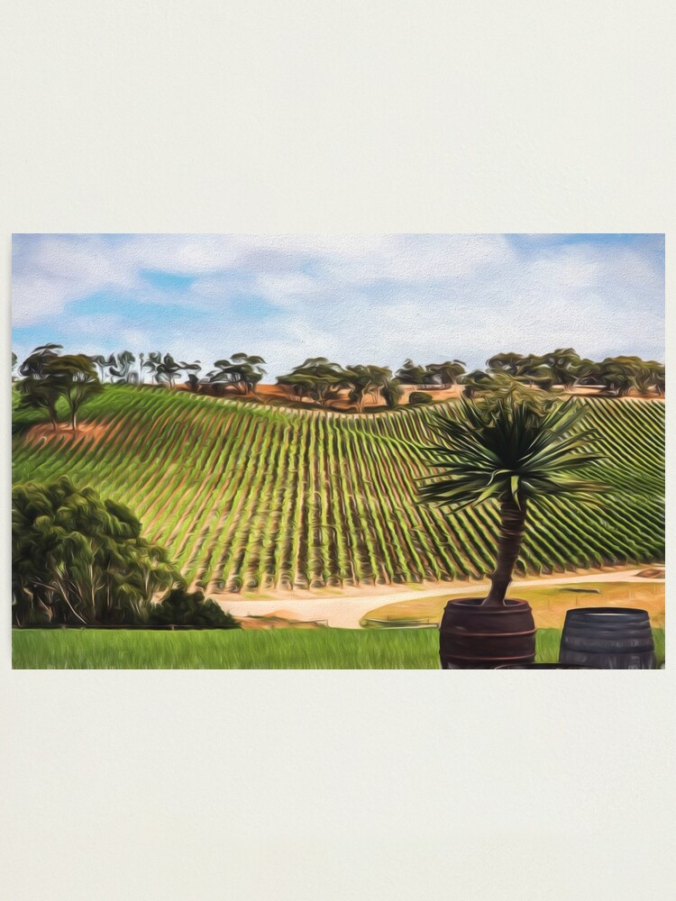 Alternate view of Southern Vineyard (digital painting) Photographic Print
