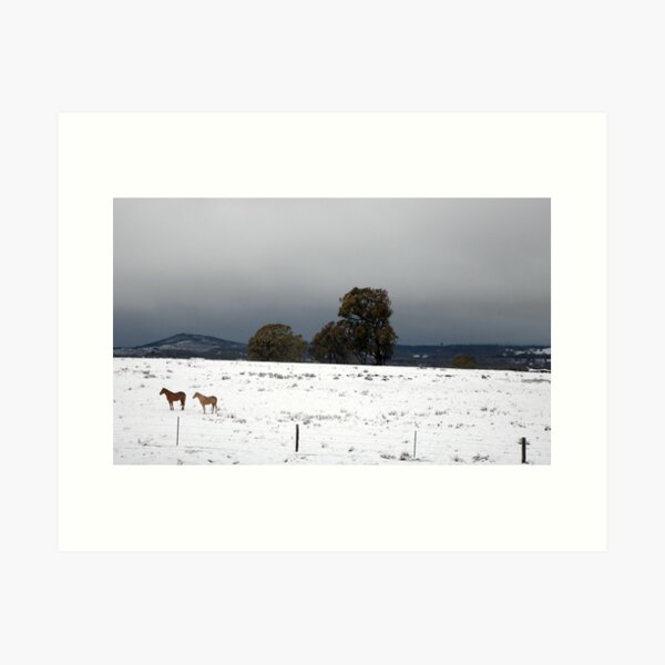 Item preview, Horses in the snow designed and sold by Rachel81.