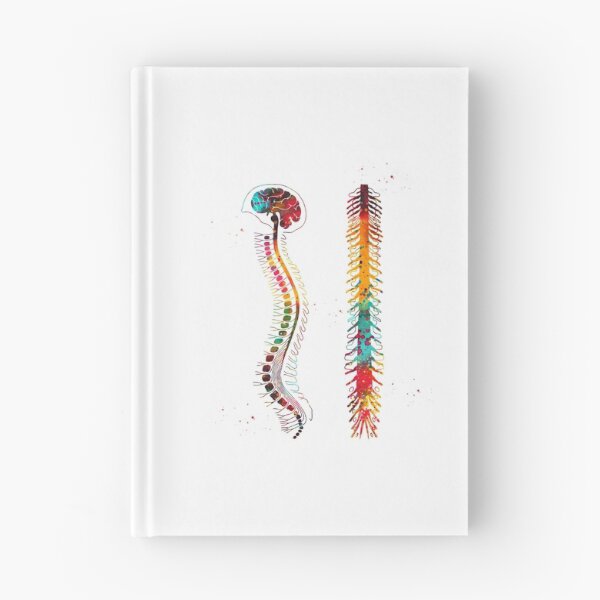 Item preview, Brain with spinal cord designed and sold by Liededrom..