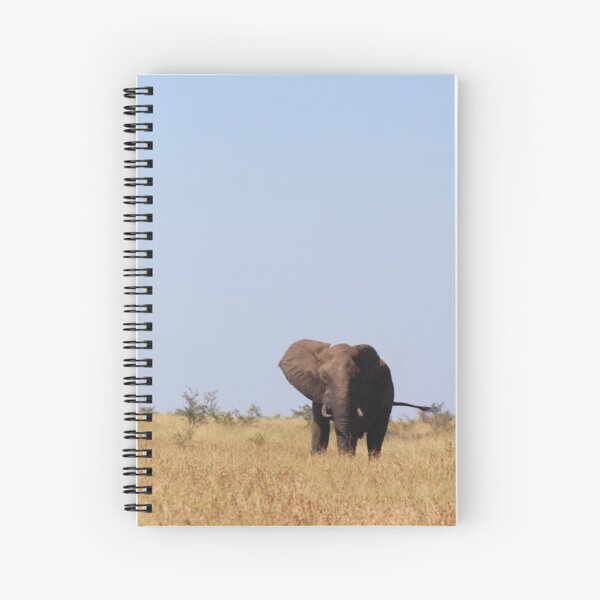 Lone Bull Spiral Notebook