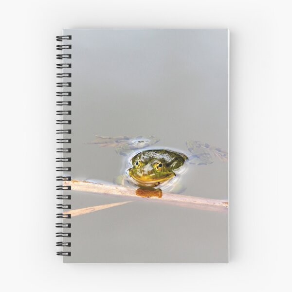 Item preview, Edible Frog Hanging Onto Reed in a Pond designed and sold by MarkUK97.