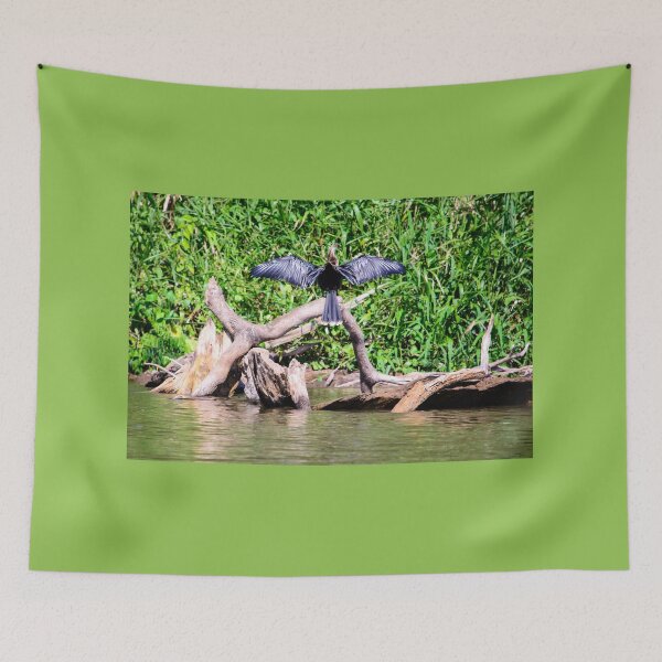 Item preview, Anhinga on limb designed and sold by raymona pooler.