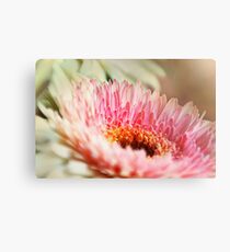 Dream a little dream... Metal Print