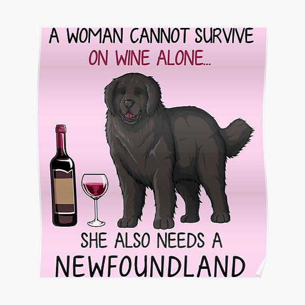 Newfoundland and wine Funny dog Poster