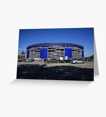 Shea Stadium Greeting Card