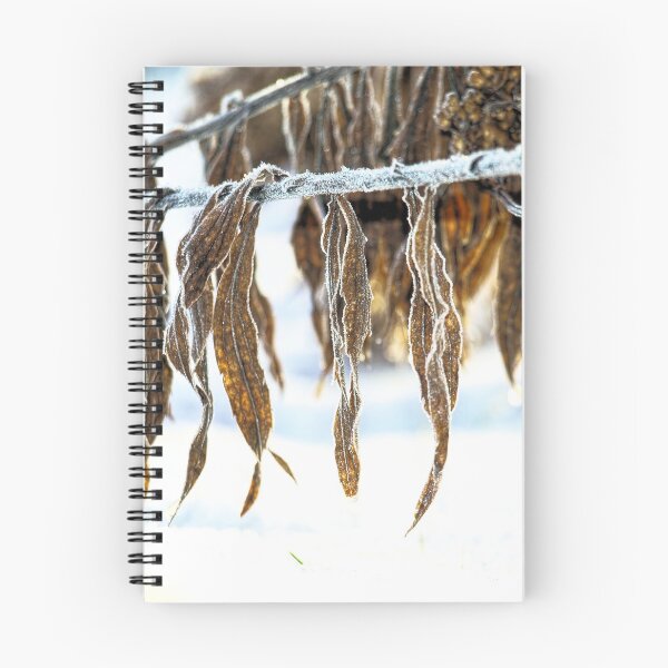 Item preview, frozen beauty designed and sold by Barry W  King.