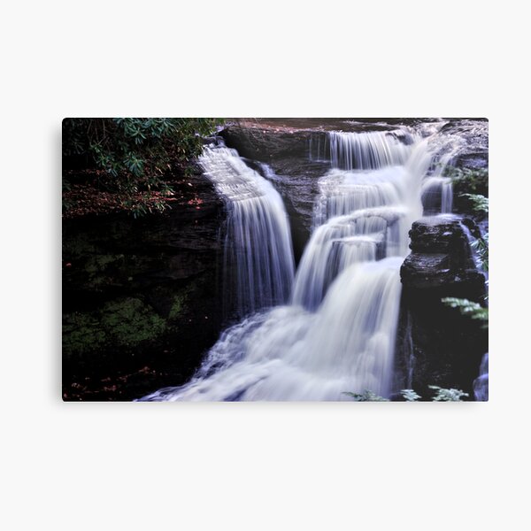In the Lilliputain Forest Metal Print