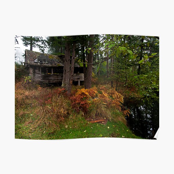 Mayne Island Abandoned Cabin - View from the Back Poster