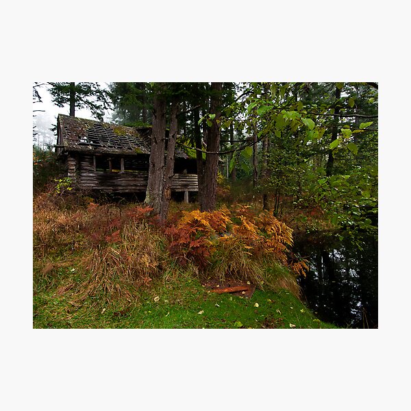 Mayne Island Abandoned Cabin - View from the Back Photographic Print