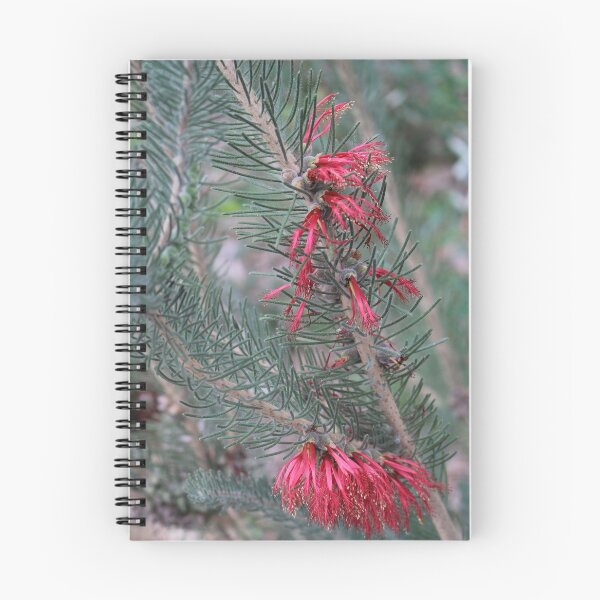 Item preview, One-sided Bottlebrush designed and sold by NanaRusty.