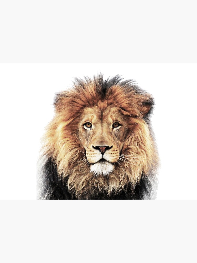 Lion King by LotusPrintShop