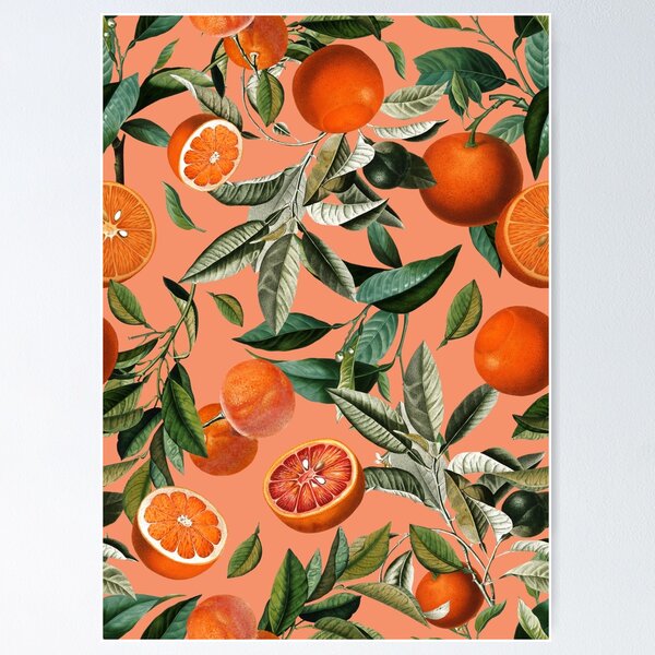 Vintage Fruit Pattern XII Poster