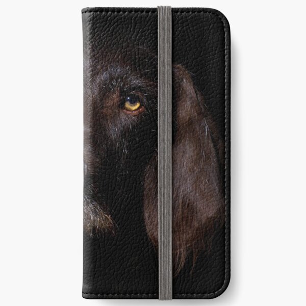 German Wirehaired Pointer Portrait iPhone Wallet