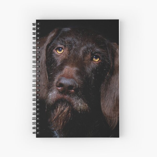German Wirehaired Pointer Portrait Spiral Notebook