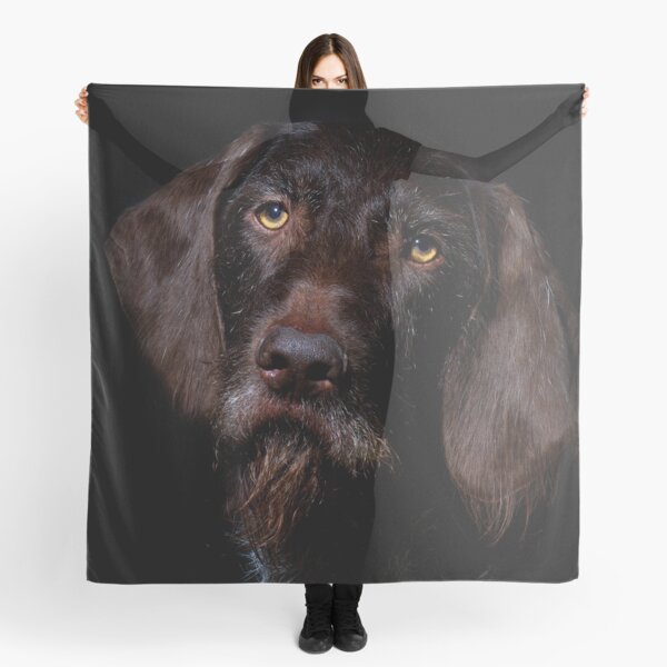 German Wirehaired Pointer Portrait Scarf
