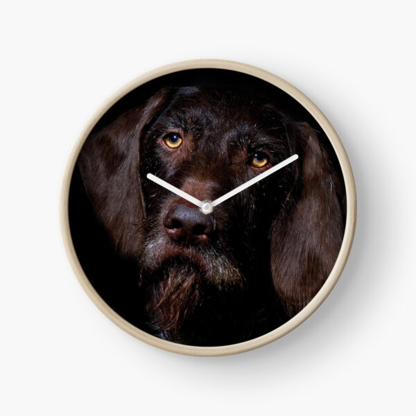German Wirehaired Pointer Portrait Clock