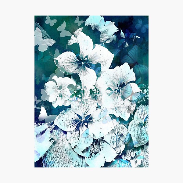 Photographic Print