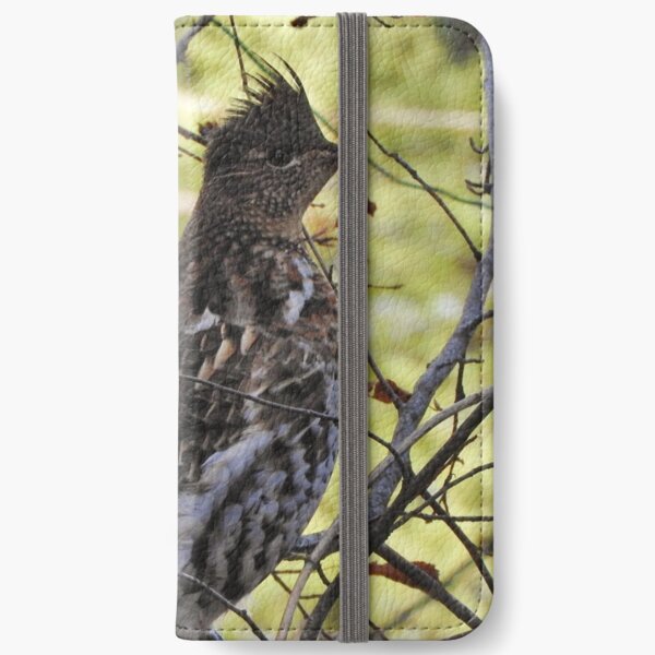 Ruffed iPhone Wallet