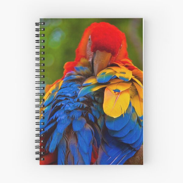 Item preview, Honduras. Copan. Macaw. designed and sold by vadim19.