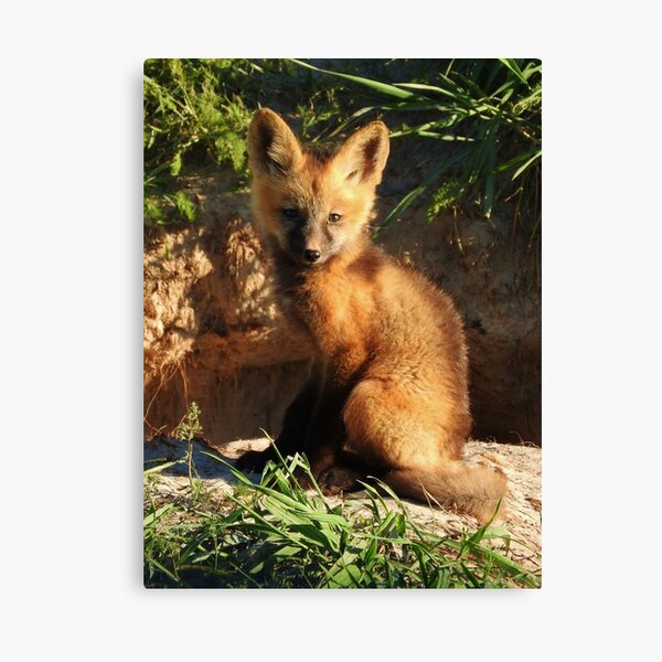 Little Cross Canvas Print