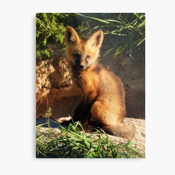 Little Cross Metal Print
