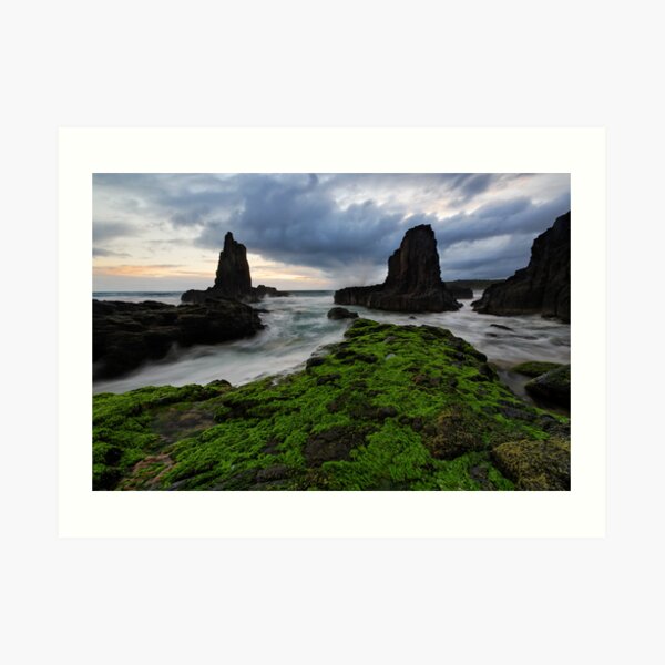 Art Print