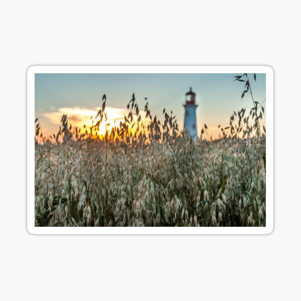 The lighthouse of Anse at the hut at sunset Sticker