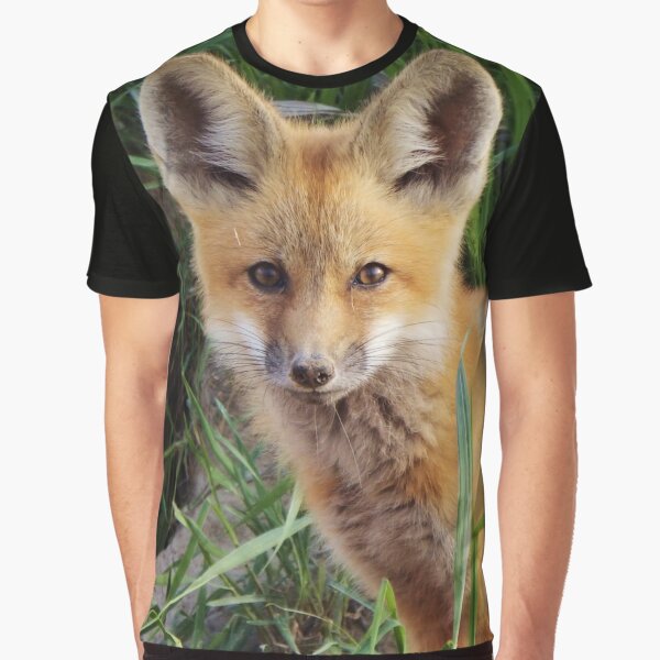 Curious Kit Graphic T-Shirt
