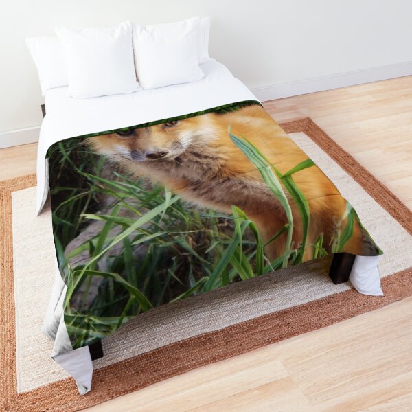 Curious Kit Comforter