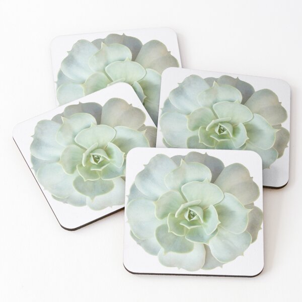 Item preview, Succulent tones designed and sold by Here there &  home.