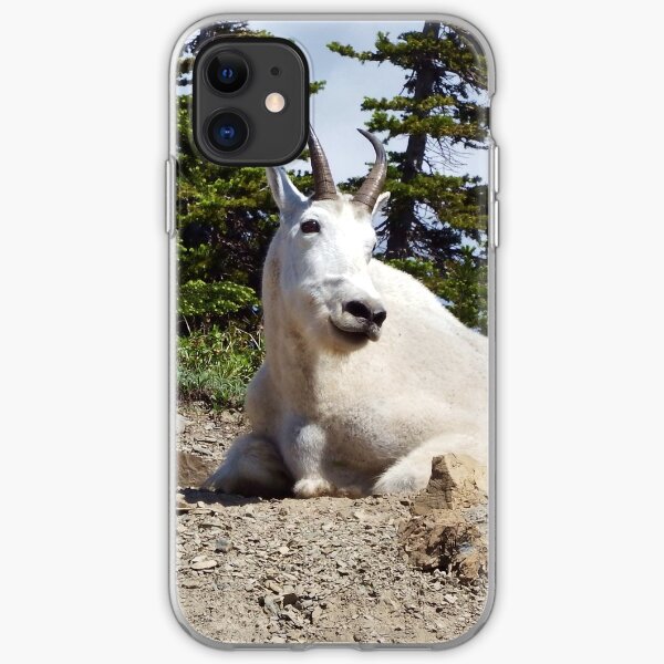 King of the Mountain iPhone Soft Case