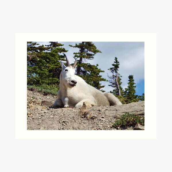 King of the Mountain Art Print