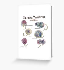 Tarjeta de felicitación Dibujos de acuarela de variación de placenta