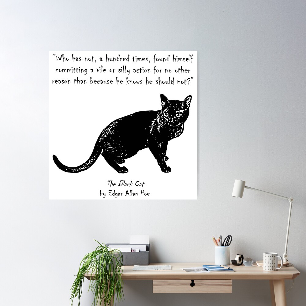 The Black Cat Poster for Sale by childofthecorn