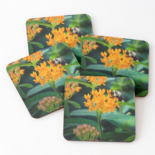 Item preview, Honey Bee on Butterfly Weed 4 designed and sold by Robert Alsop.