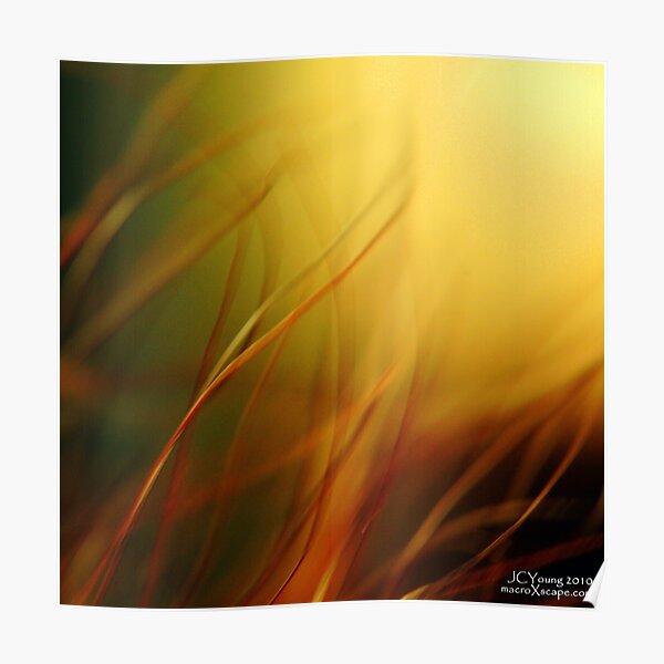 Sun Worshippers Poster