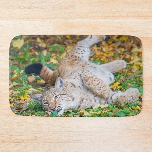Item preview, Playful Lynx designed and sold by Dominika Aniola.