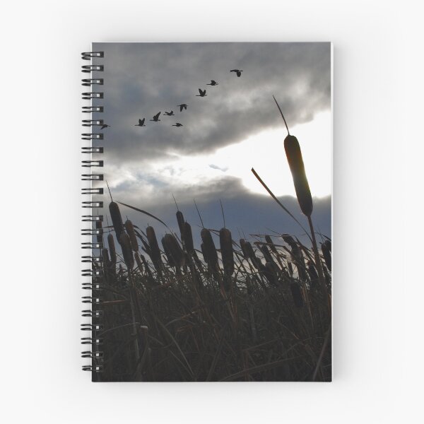 Item preview, flying home designed and sold by fishinmusician.