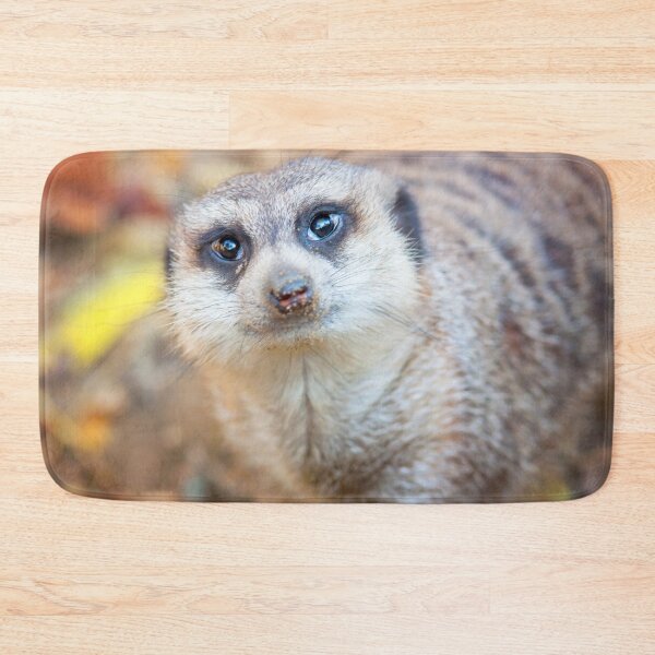 Item preview, Meerkat designed and sold by Dominika Aniola.
