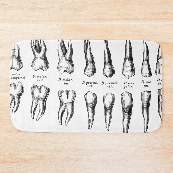 Item preview, Teeth designed and sold by RainyDayTees.