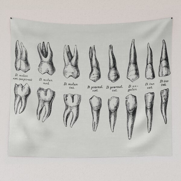 Item preview, Teeth designed and sold by RainyDayTees.