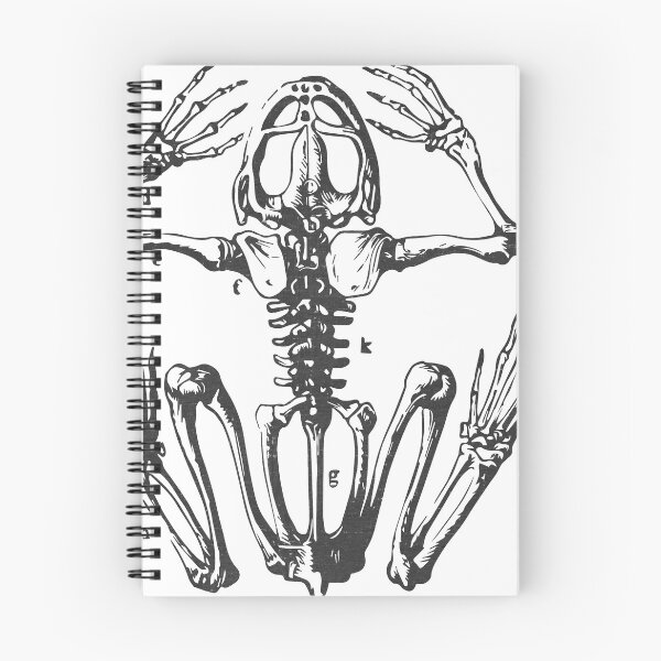 Item preview, Froggy Skeleton designed and sold by RainyDayTees.