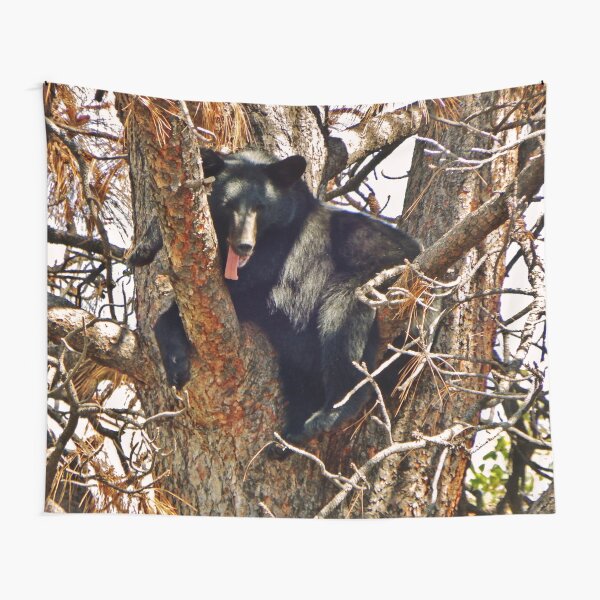 Not much for shade! Tapestry