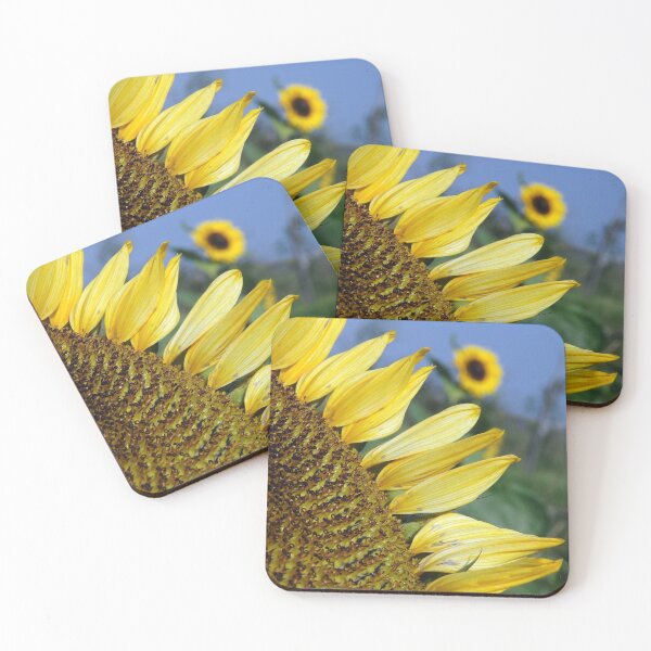 Item preview, I'll Follow the Sun! designed and sold by Kasia Design.
