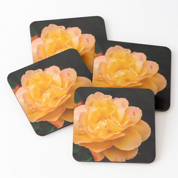 Item preview, Blooming Strike It Rich Yellow Rose in Summer designed and sold by Chee Sim.