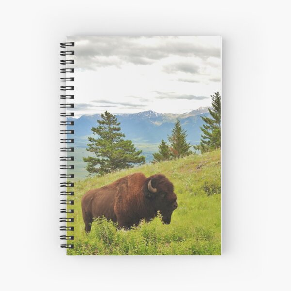 Spring Bison Spiral Notebook
