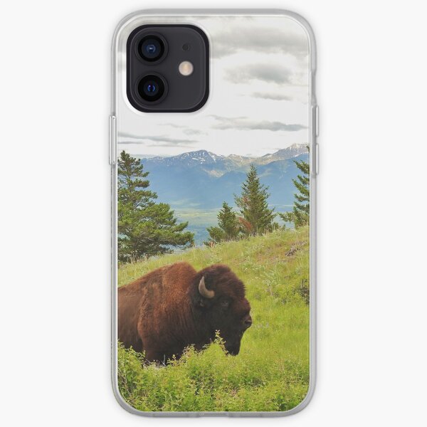 Spring Bison iPhone Soft Case