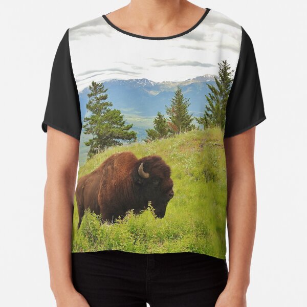 Spring Bison Chiffon Top