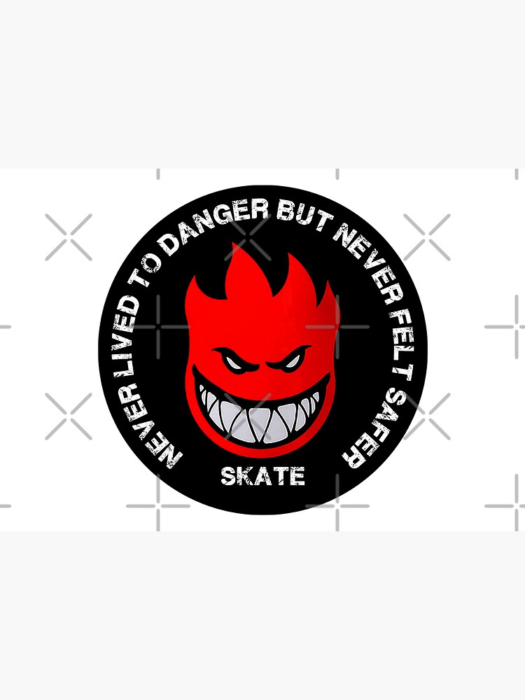 Skate shirt - Skater Shirt - Never Lived The Danger But Never Felt Safer t shirt - Skater by happygiftideas